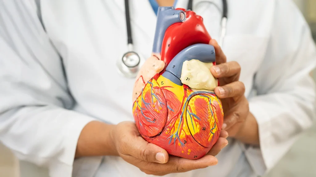 Heart Patients and Veneers