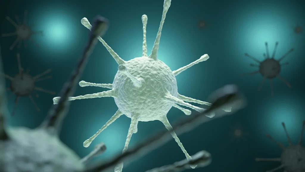 Immunosuppressive medications and immune response considerations before veneer treatment